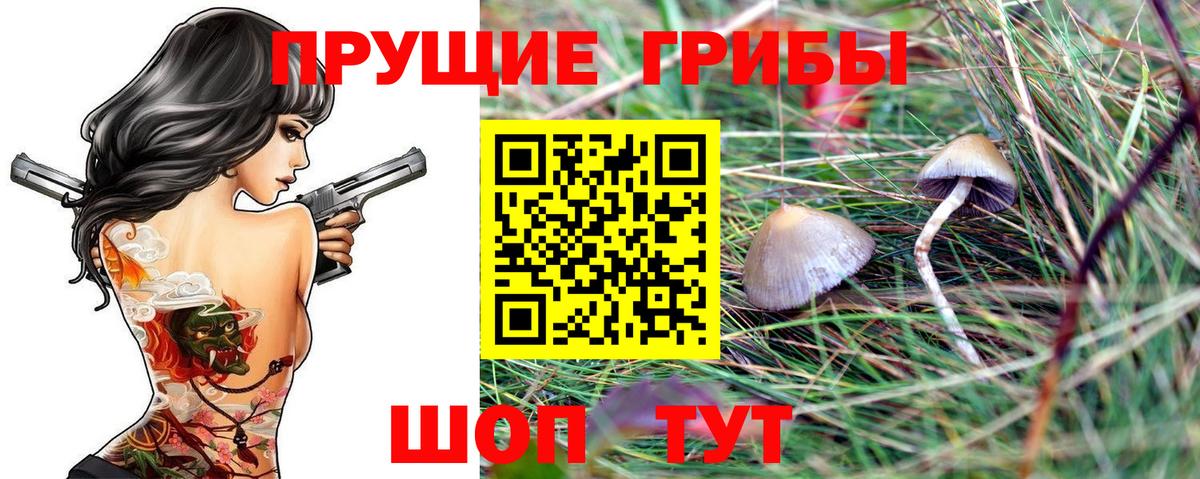 Галлюциногенные грибы мухоморы Сарапул